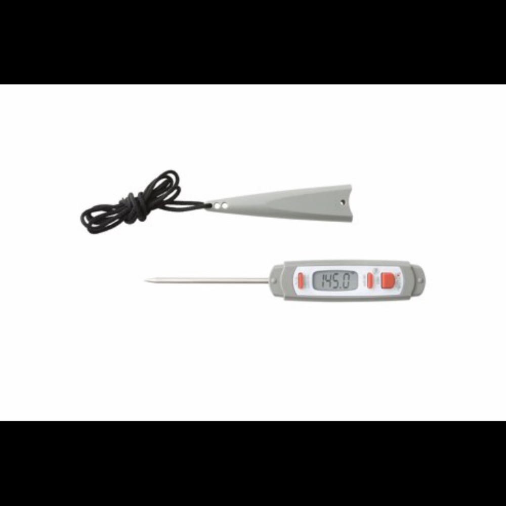 *New! Taylor Commercial Digital Thermometer